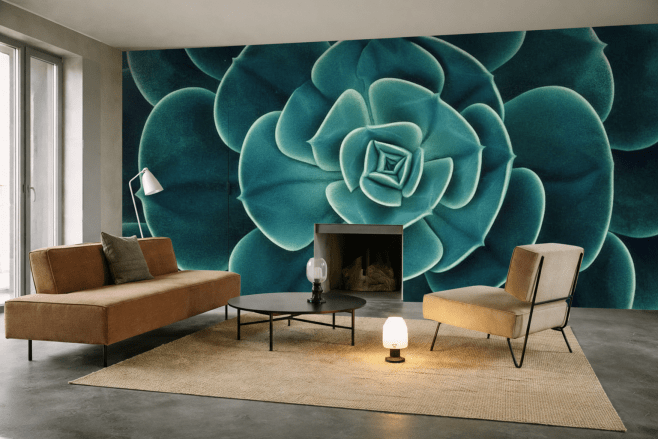 Succulent Echo