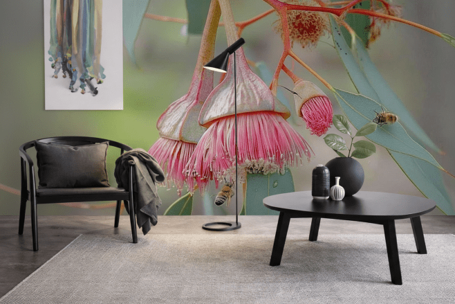 Eucalyptus Bloom