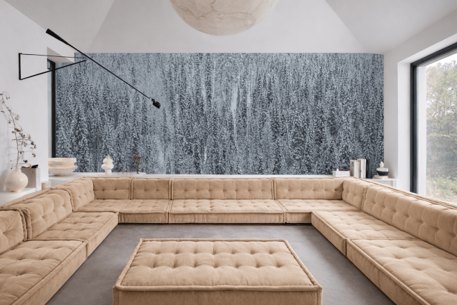 Frosted Pinescape