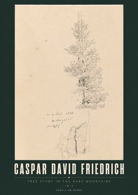 Caspar David Friedrich Tree Study in the Harz Mountains No2 - Juliste