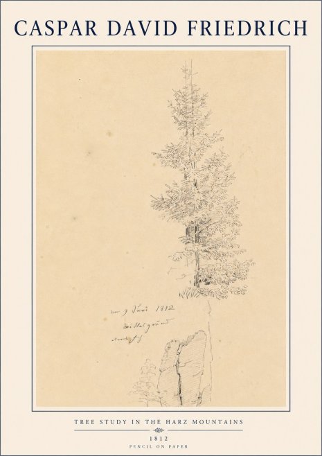 Caspar David Friedrich Tree Study in the Harz Mountains No4 - Juliste