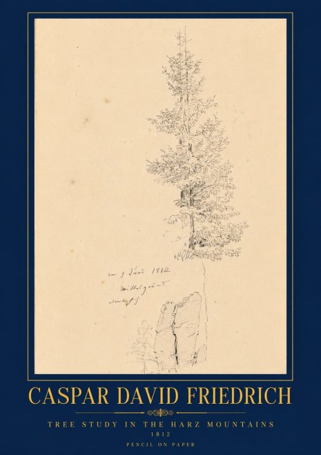 Caspar David Friedrich Tree Study in the Harz Mountains No6 - Juliste