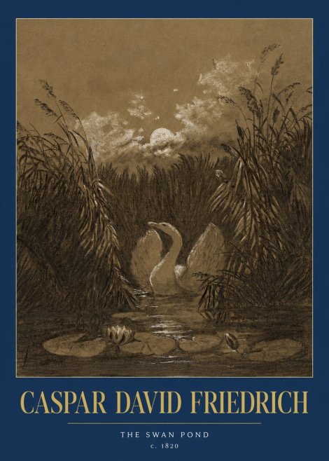 Caspar David Friedrich The Swan Pond No2 - Juliste