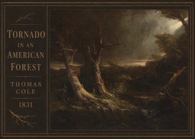 Thomas Cole Tornado in an American Forest No3 - Juliste