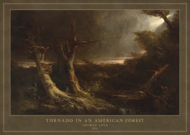Thomas Cole Tornado in an American Forest No4 - Juliste