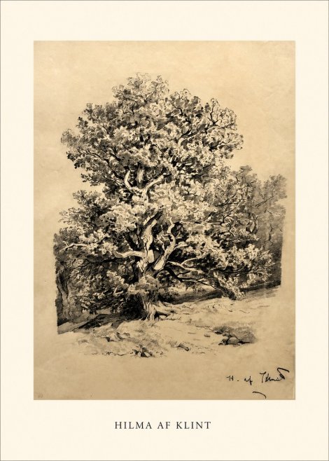 Hilma af Klint Large Tree Landscape No1 - Juliste
