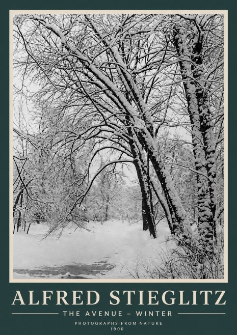 Alfred Stieglitz The Avenue – Winter No3 - Juliste