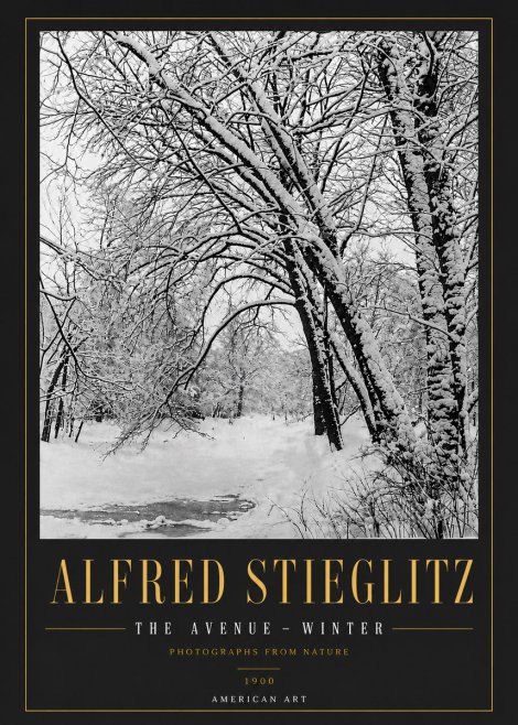 Alfred Stieglitz The Avenue – Winter No6 - Juliste