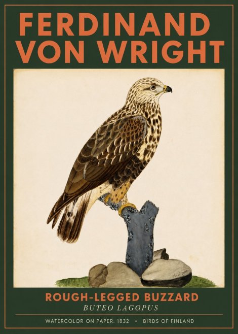 Ferdinand von Wright Rough-legged Buzzard No2 - Juliste