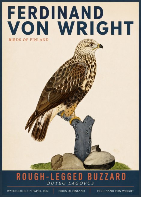 Ferdinand von Wright Rough-legged Buzzard No3 - Juliste