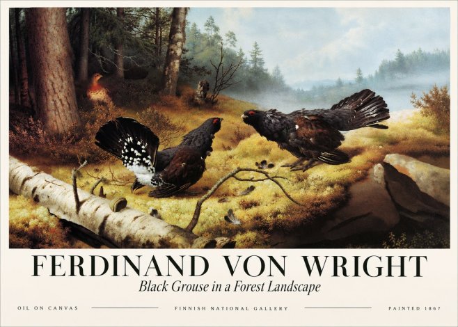 Ferdinand von Wright Black Grouse in a Forest Landscape No3 - Juliste