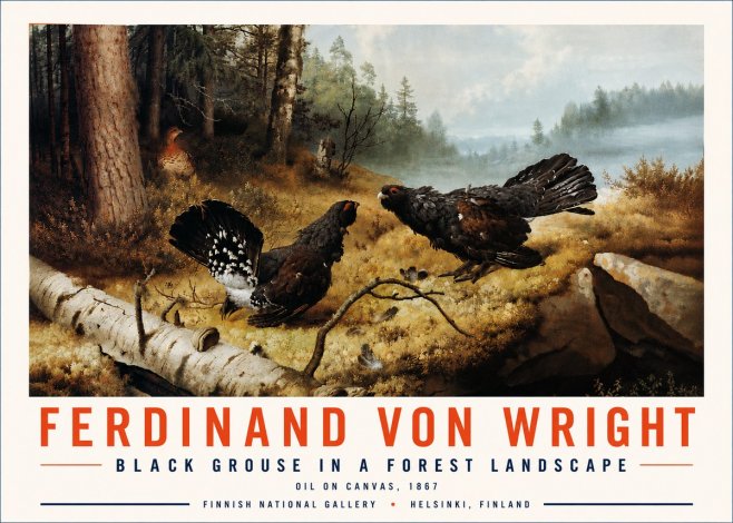 Ferdinand von Wright Black Grouse in a Forest Landscape No6 - Juliste