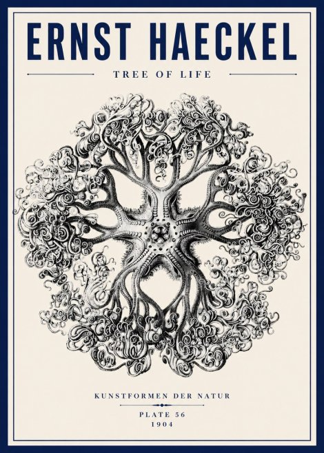 Ernst Haeckel Tree-like Organism No6 - Juliste