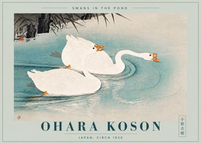 Ohara Koson Two Swans No6 - Juliste