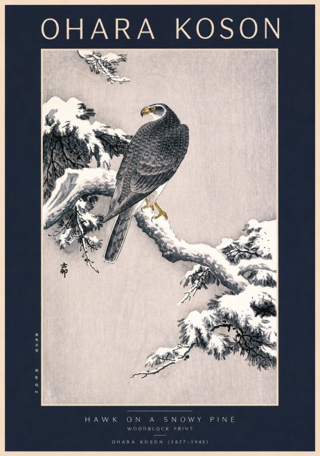 Ohara Koson Hawk on a Snowy Pine No2 - Juliste