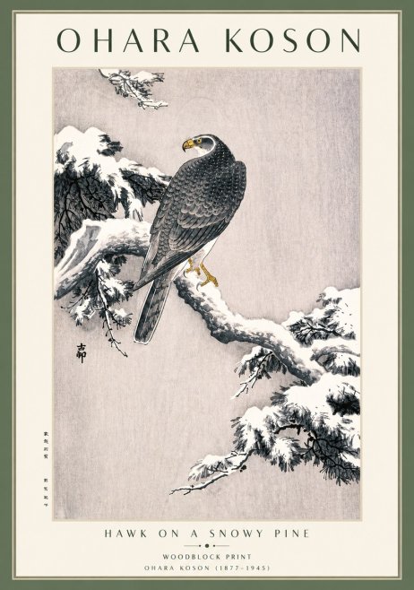 Ohara Koson Hawk on a Snowy Pine No3 - Juliste