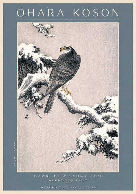 Ohara Koson Hawk on a Snowy Pine No4 - Juliste