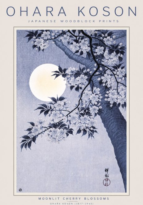 Ohara Koson Moonlit Cherry Blossoms No3 - Juliste