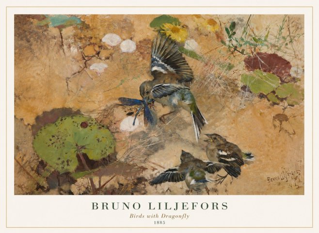 Bruno Liljefors Birds with Dragonfly No1 - Juliste