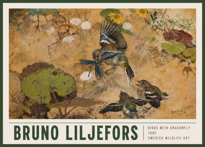 Bruno Liljefors Birds with Dragonfly No5 - Juliste