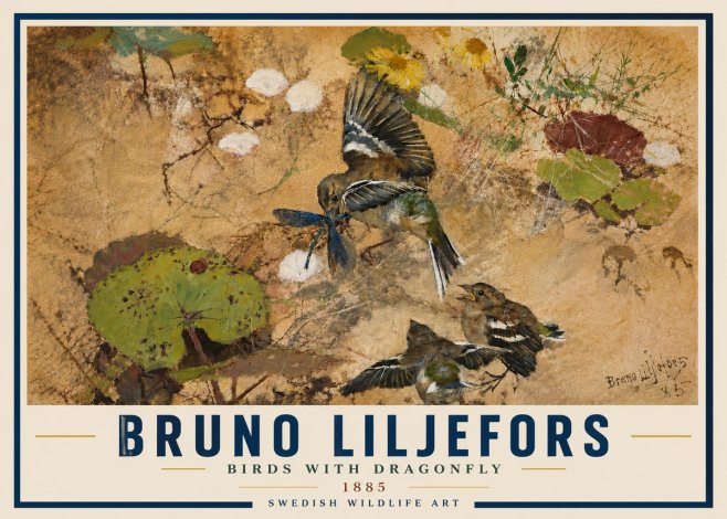 Bruno Liljefors Birds with Dragonfly No6 - Juliste
