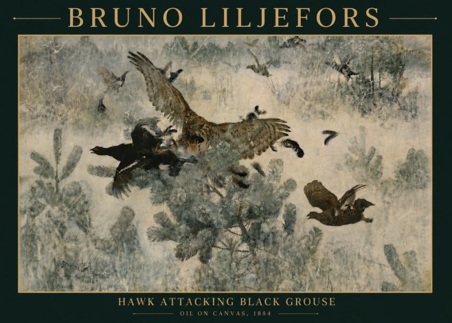 Bruno Liljefors Hawk Attacking Black Grouse No4 - Juliste