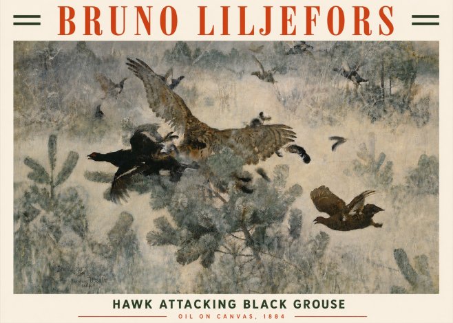 Bruno Liljefors Hawk Attacking Black Grouse No6 - Juliste