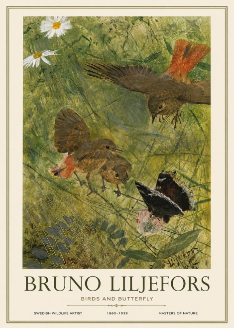 Bruno Liljefors Birds and Butterfly No1 - Juliste