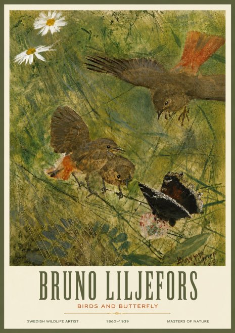 Bruno Liljefors Birds and Butterfly No3 - Juliste