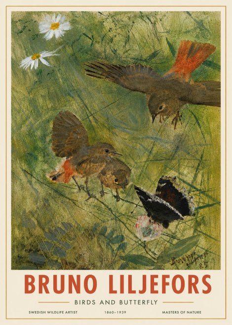 Bruno Liljefors Birds and Butterfly No4 - Juliste