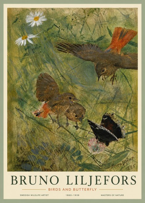 Bruno Liljefors Birds and Butterfly No5 - Juliste