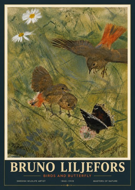 Bruno Liljefors Birds and Butterfly No6 - Juliste