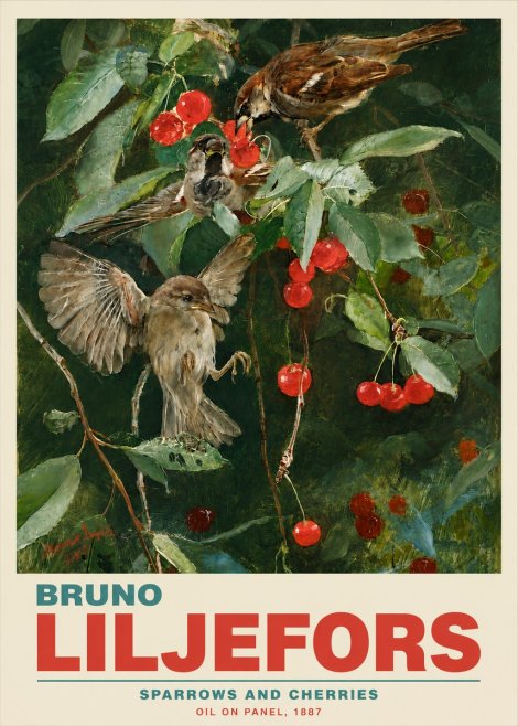 Bruno Liljefors Sparrows and Cherries No5 - Juliste