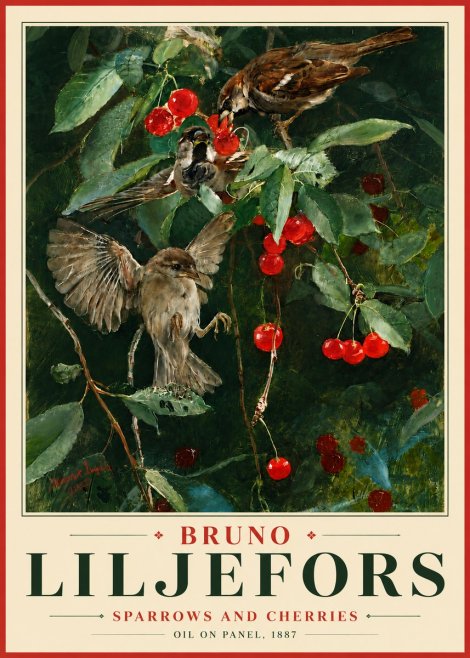 Bruno Liljefors Sparrows and Cherries No6 - Juliste