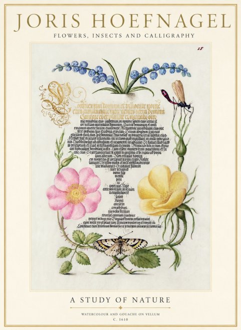 Joris Hoefnagel A Study of Nature I No1 - Juliste