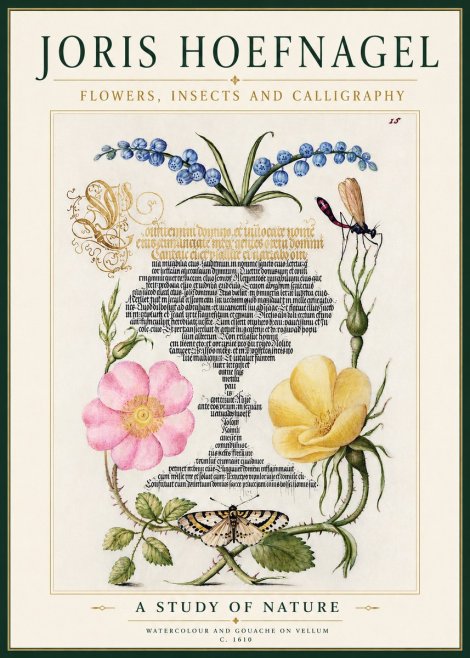 Joris Hoefnagel A Study of Nature I No4 - Juliste