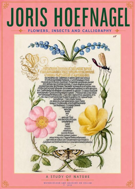 Joris Hoefnagel A Study of Nature I No5 - Juliste