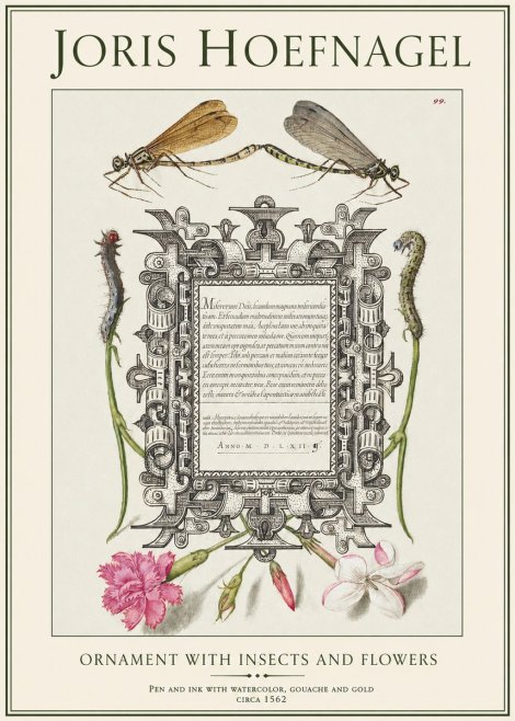 Joris Hoefnagel Ornamental Frame with Damselflies, Caterpillars and Flowers No2 - Juliste