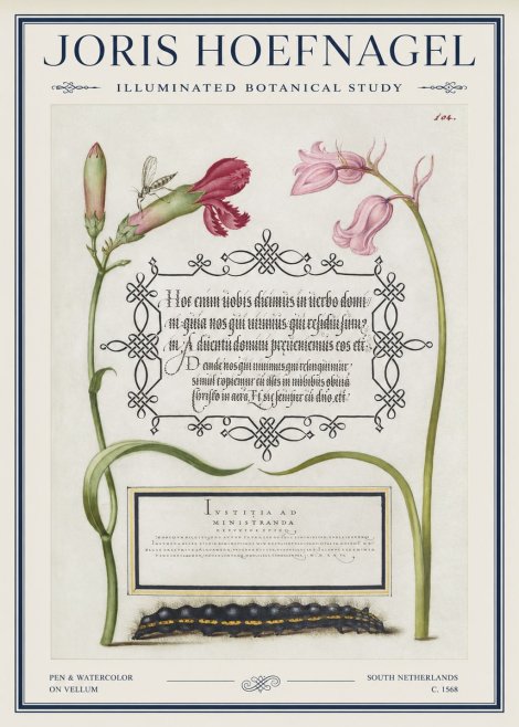 Joris Hoefnagel Floral Study with Insect and Caterpillar No5 - Juliste