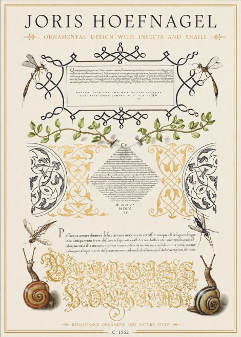 Joris Hoefnagel Memento Mori No2 - Juliste