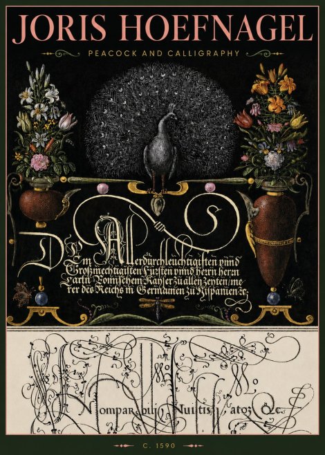 Joris Hoefnagel Peacock and Calligraphy No4 - Juliste
