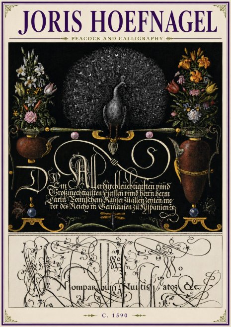 Joris Hoefnagel Peacock and Calligraphy No6 - Juliste