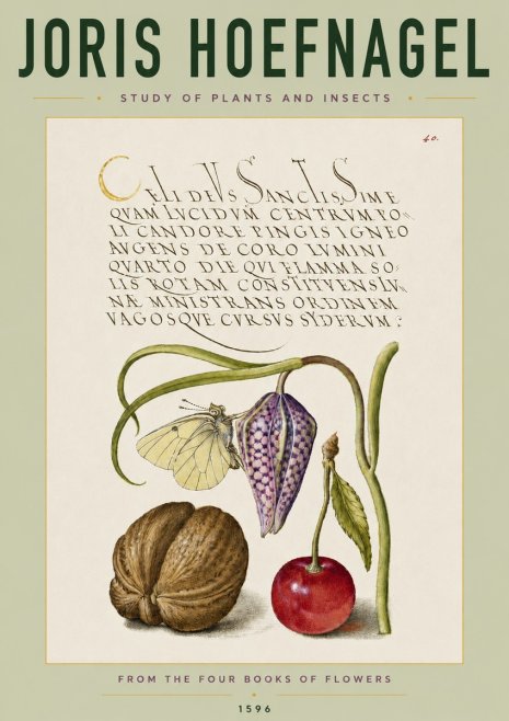 Joris Hoefnagel Study of Plants and Insects No4 - Juliste