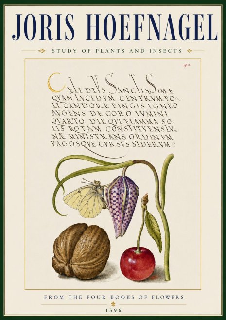 Joris Hoefnagel Study of Plants and Insects No5 - Juliste