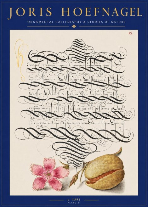 Joris Hoefnagel Ornamental Calligraphy & Studies of Nature No2 - Juliste