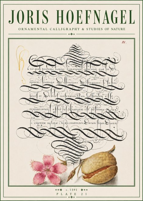 Joris Hoefnagel Ornamental Calligraphy & Studies of Nature No4 - Juliste