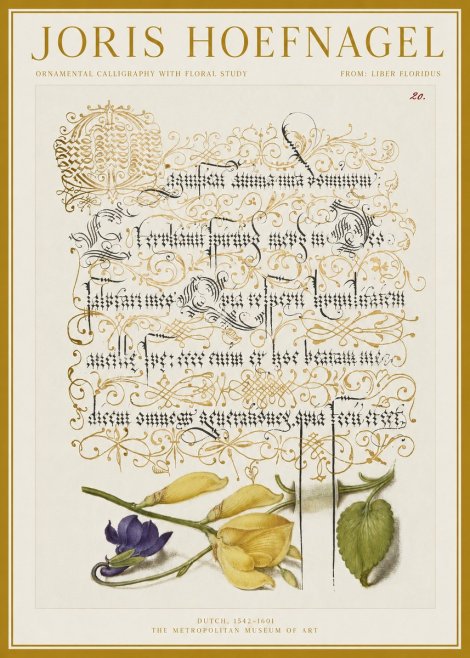 Joris Hoefnagel Ornamental Calligraphy with Floral Study No1 - Juliste