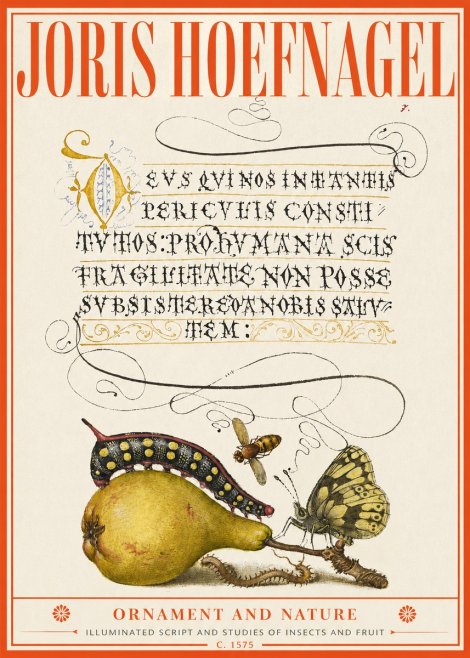 Joris Hoefnagel Ornament and Nature - Illuminated Script and Studies of Insects and Fruit No2 - Juliste