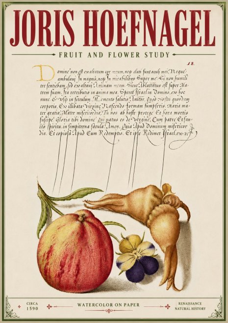 Joris Hoefnagel Fruit and Flower Study No6 - Juliste