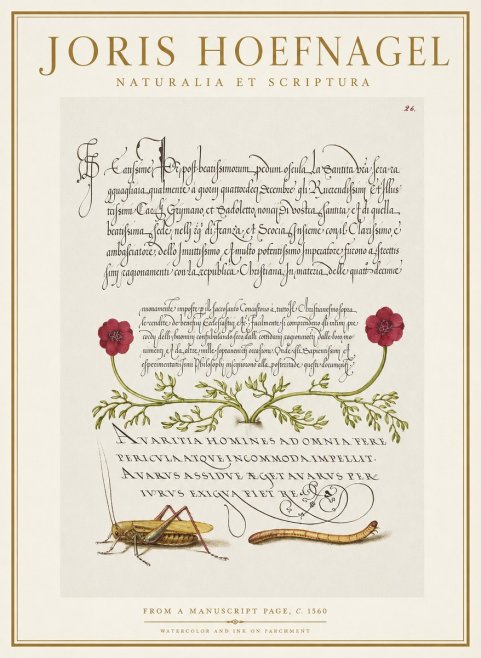 Joris Hoefnagel Illuminated Page with Flowers, Insects & Latin Script No2 - Juliste